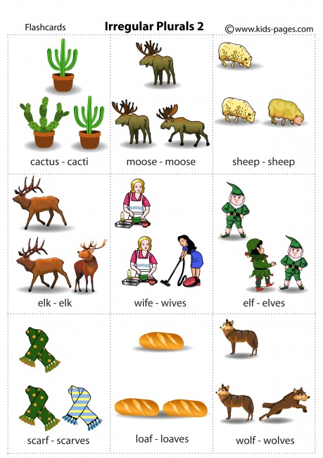 Irregular Plurals 2 flashcard